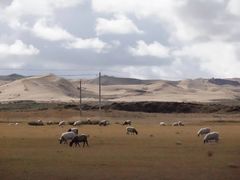-青海湖国家重点风景名胜区