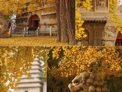 -北京石刻艺术博物馆(五塔寺)