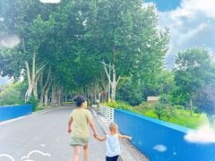 -石家庄市植物园