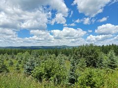 -塞罕坝国家级自然保护区