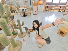 -喵园·猫主题咖啡厅·撸猫·猫咖(国贸店)