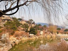 -北京西山国家森林公园