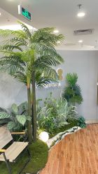 -八佰伴8008星级形象店