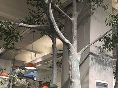 -菌乡缘·野生菌蒸汽鱼火锅(江边夜市店)