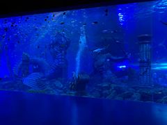 -波塞冬旅游度假区