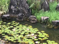 -千岛湖石林