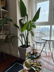 -演员的秘密·皮肤管理