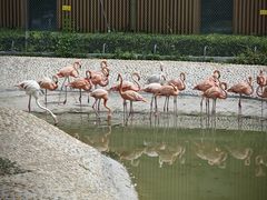 -太原动物园