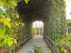 -莲花山公园