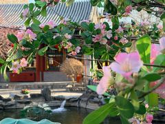 -白家大院·王府宫廷菜(苏州街店)