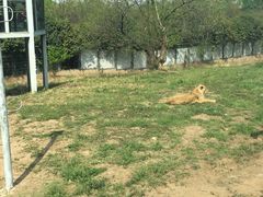 -西安秦岭野生动物园