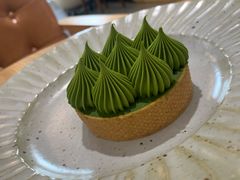 -猫里有甜