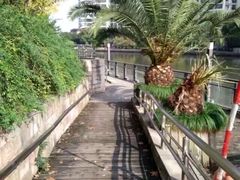 -苏州河梦清园环保主题公园