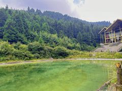 -武陵山森林公园