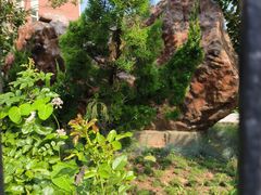 -大连市第二十四中学