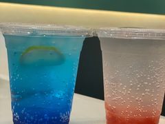 -飞行喵MR PILOT|猫舍·猫咖(静安大融城店)