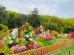 -上海共青森林公园