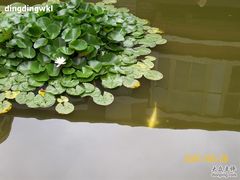 -东北大学(秦皇岛分校)
