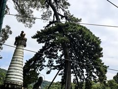 -潭柘寺景区
