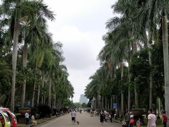 -万绿园