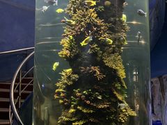 -西安曲江海洋极地公园