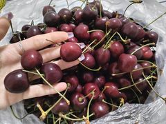 -果叔(红旗街店)