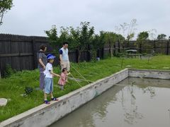 -南汇新场正宗水蜜桃采摘