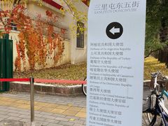 -三里屯东五街银杏大道