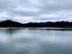 -望湖烤鱼