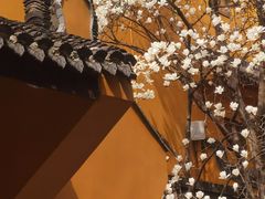 -龙华寺