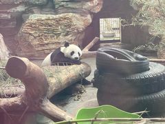 -石家庄市动物园