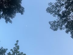 -白石龙音乐公园