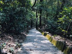 -东莞市大岭山森林公园