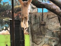 -石家庄市动物园