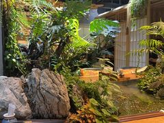 -森味薪火烧•烧鸟居酒屋•日本料理(望京店)