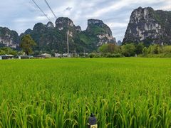 -明仕田园