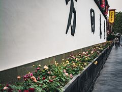 -运河游船(武林门码头)