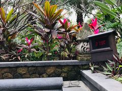 -厦门日月谷温泉渡假村