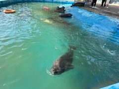 -北戴河圣蓝海洋公园