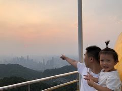 -大金鹰园