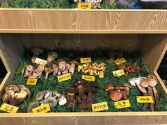 -菌海森林·非遗野生菌火锅(西山区滇池路摩根道店)