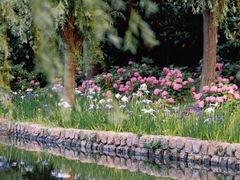 -上海滨江森林公园