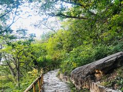 -北京上方山国家森林公园