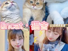-lincat·猫舍(广州店)