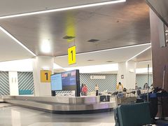 -谢列梅捷沃国际机场