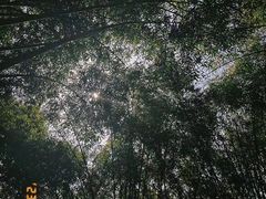 -成都杜甫草堂博物馆
