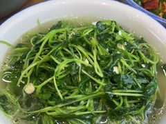 上汤萝卜苗-谭家菜(童宾路店)