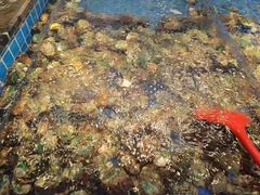 -焰江山海鲜牛排烤肉自助(锦华万达二星店)