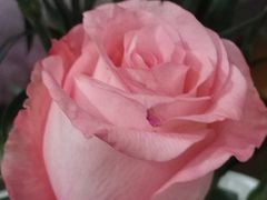 -赵记粽子(司前街店)