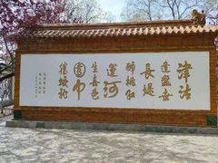 -桃花堤公园